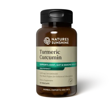 Turmeric Curcumin Dietary Supplement (1,000 mg)